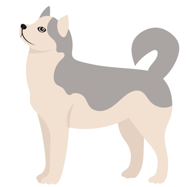 Cute dog flat design isolated