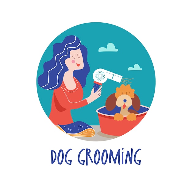 Cute dog at groomer salonWoman makes a haircut dog Dog grooming concept