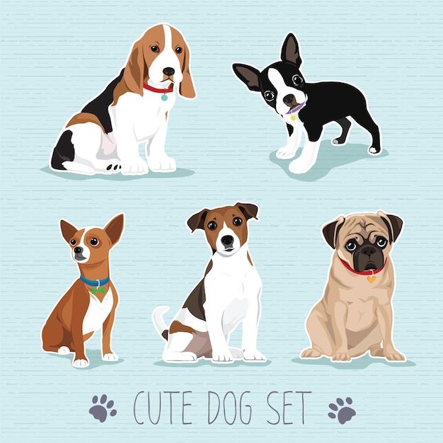 Cute Dog Set