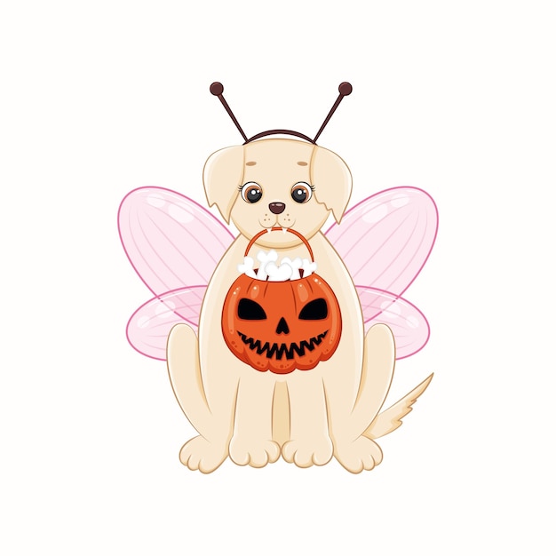 A cute dog with a jacko'lantern in his mouth