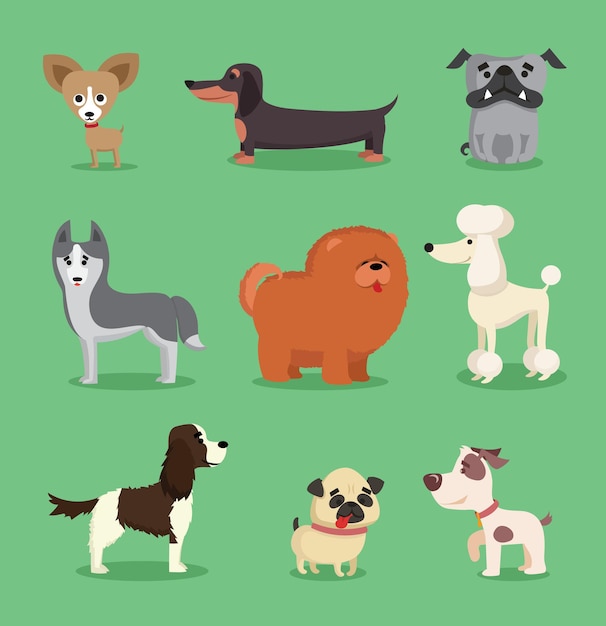 Cute dogs collection. Vector illustration of cartoon different breeds dogs, such as alaskan malamute, corgi, samoyed, border collie, doberman pinscher and pug in flat style. Isolated on white.