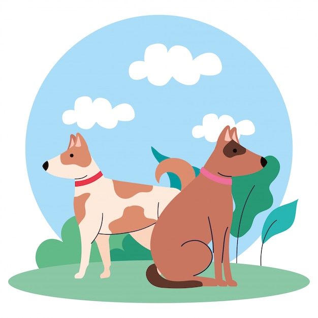 Cute dogs pets on outdoor icons