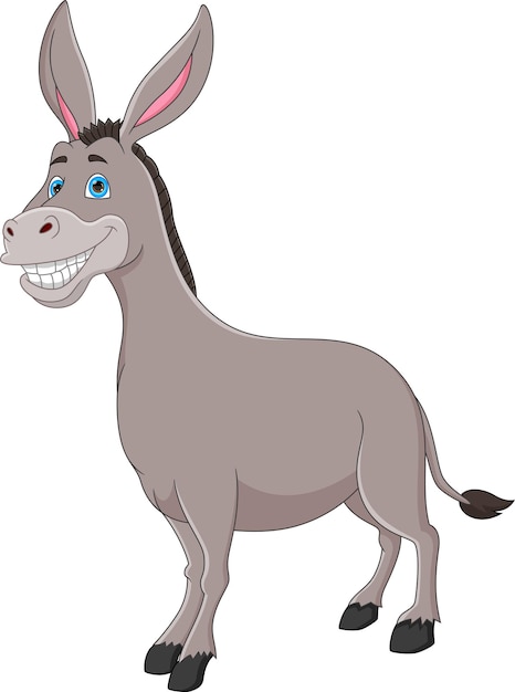 cute donkey cartoon on white background