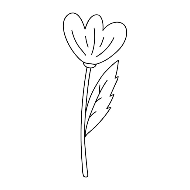 Cute doodle flower isolated on white background Botanical clipart hand drawn illustration