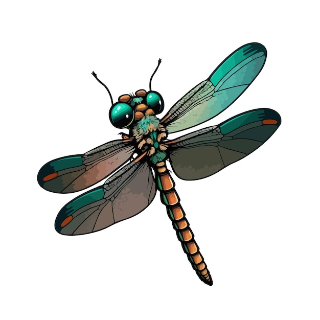 Cute dragonfly cartoon style