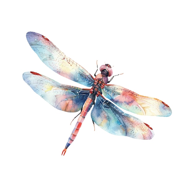 cute dragonfly vector illustration in watercolour style