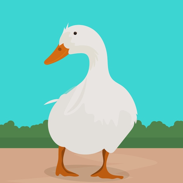 cute duck vector illustration