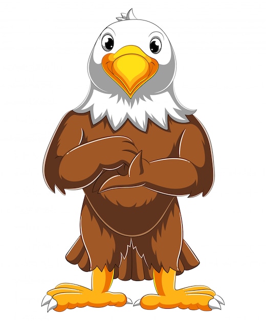 Vector cute eagle cartoon posing of illustration