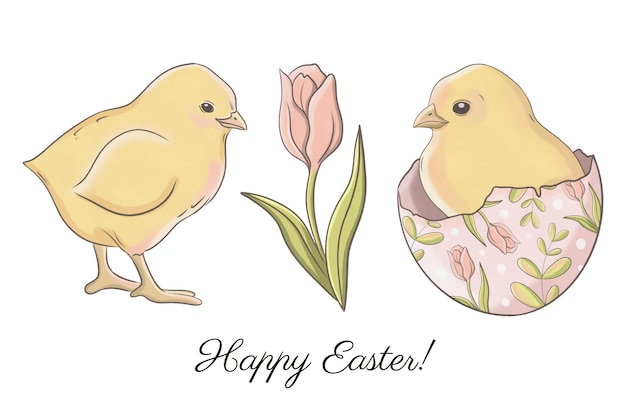 Cute easter clipart set with pink tulip and yellow chick