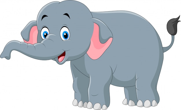 Cute elephant cartoon