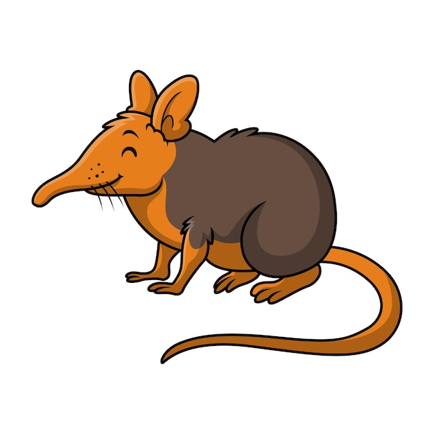 Cute elephant shrew cartoon on white background