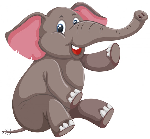 A cute elephant on white background