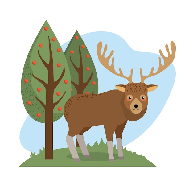 Cute elk animal to natural wildlife