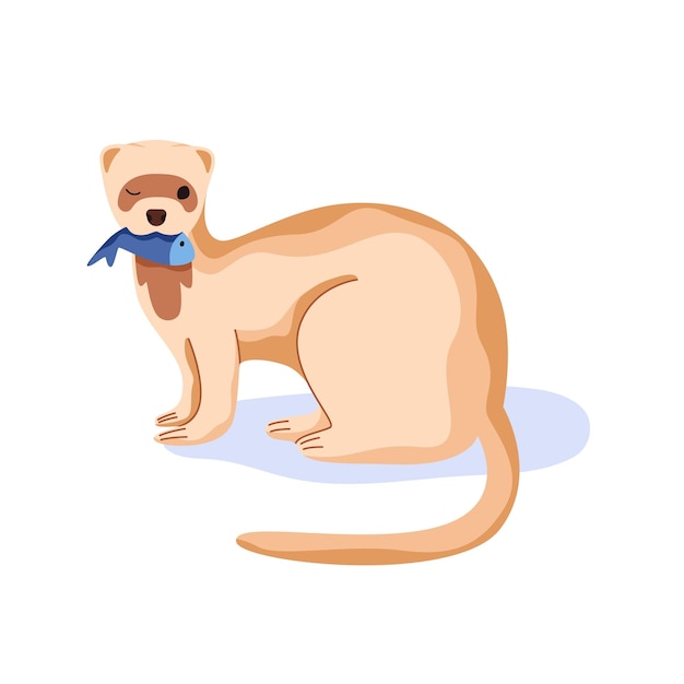 Cute ferret holding fish in mouth and winking Funny weasel with food Adorable stoat animal eating Flat cartoon vector illustration of lovely mink isolated on white background