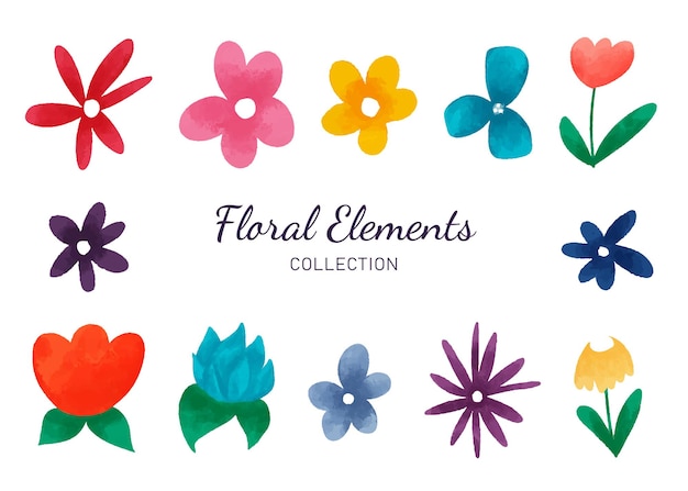 cute flower and leaf watercolor collection