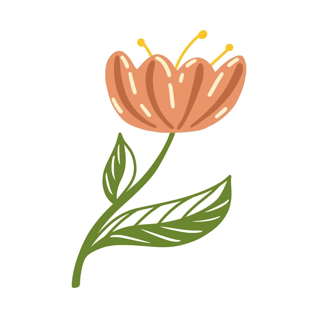 Cute flower with leafs decorative icon