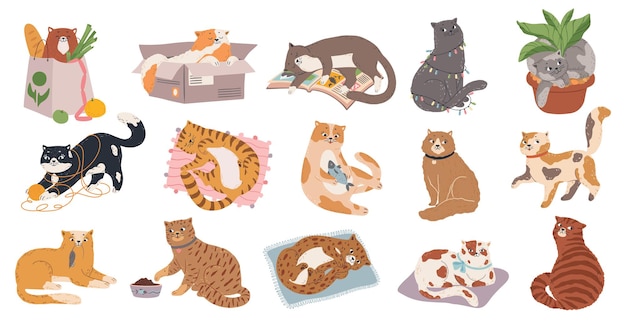 Cute fluffy kitty collection play or sleep. Vector feline fluffy, funny cat play and relaxing, adorable pet illustration