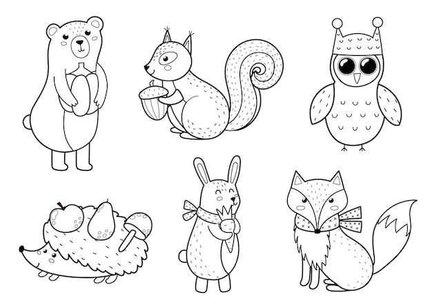 Cute forest animals collection Fall woodland black and white characters for kids design Bear fox