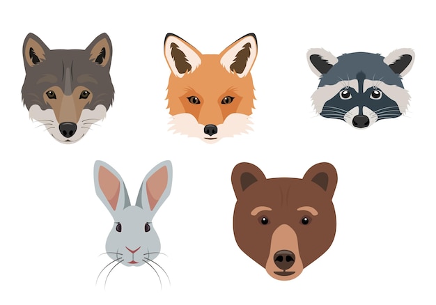 Vector cute forest animals faces wild woodland mammal animal head fox wolf hare bear and raccoon face