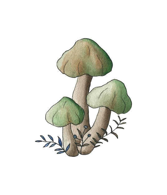 Cute forest mushrooms watercolor illustration.