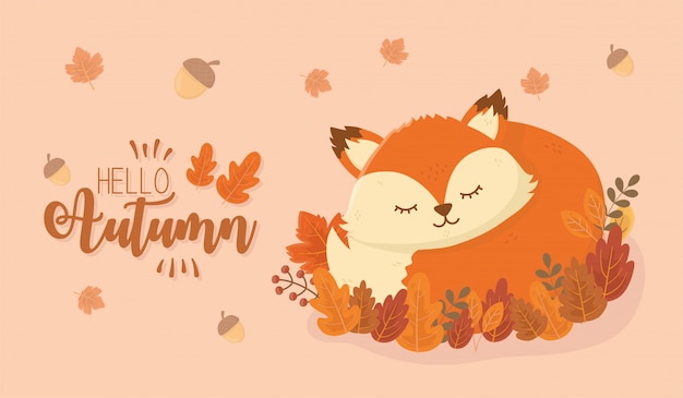 Cute fox in autumn season 