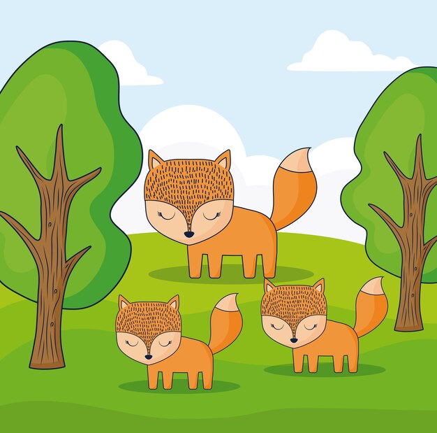 cute foxes in a forest