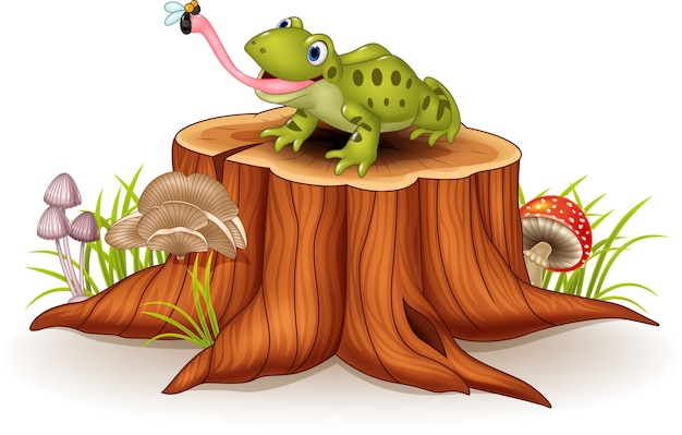 Cute frog catching fly on tree stump