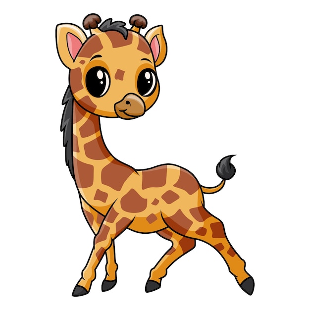 Cute funny baby giraffe posing