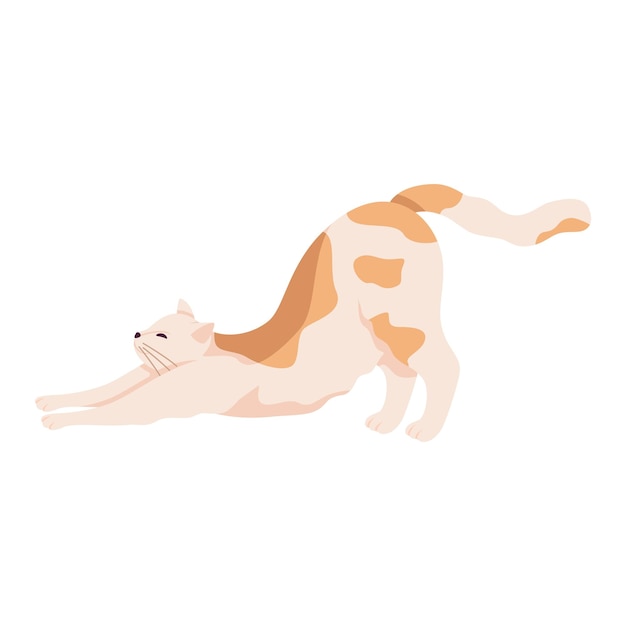 Cute and funny cat stretching itself leaning on front paws