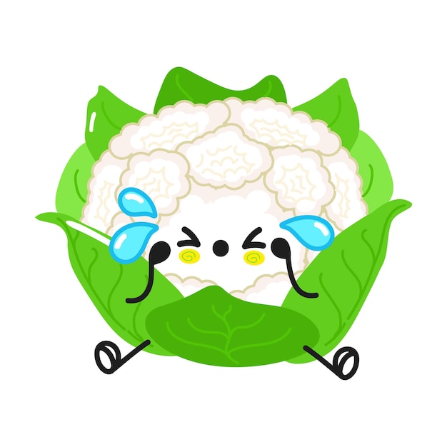 Cute funny cauliflower waving hand character