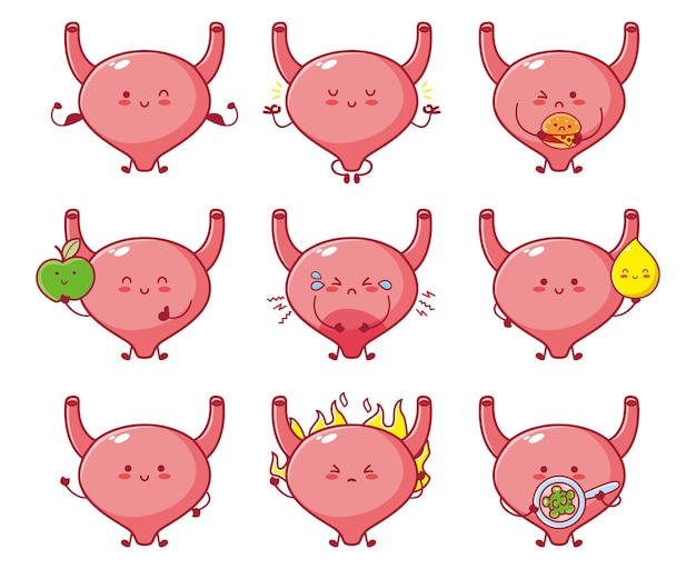 Cute funny human bladder organ cartoon character set collection. Vector line cartoon kawaii