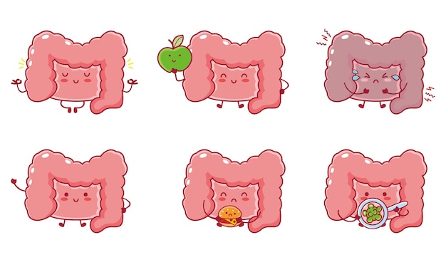 Cute funny human intestine organ cartoon character set collection. Vector line cartoon kawaii