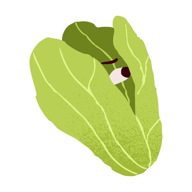 Cute funny lettuce afraid vegetable character with fear panic emotion frightened face expression Anxious worried leaf salad food Comic flat vector illustration isolated on white background