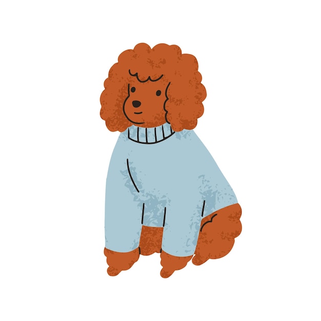 Cute funny little dog of poodle breed. Small canine animal, miniature puppy wearing clothes. Adorable purebred doggy, pudel pup with curly hair. Flat vector illustration isolated on white background