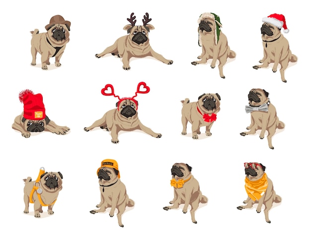 Vector cute funny pug dogs set