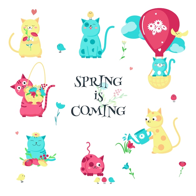 Cute funny spring cats   isolated illustration