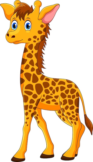 Cute giraffe cartoon on white background