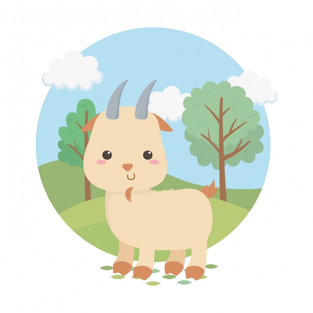 Cute goat animal farm character