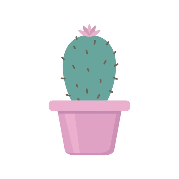 Cute green cactus in a pink pot