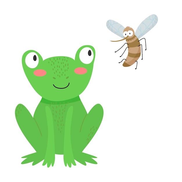 Cute green frog cartoon character isolated on white background with flying mosquito