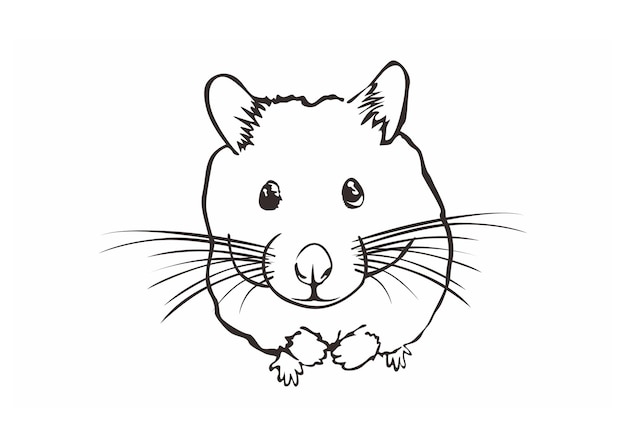 Vector cute hamster animal in line art style vector