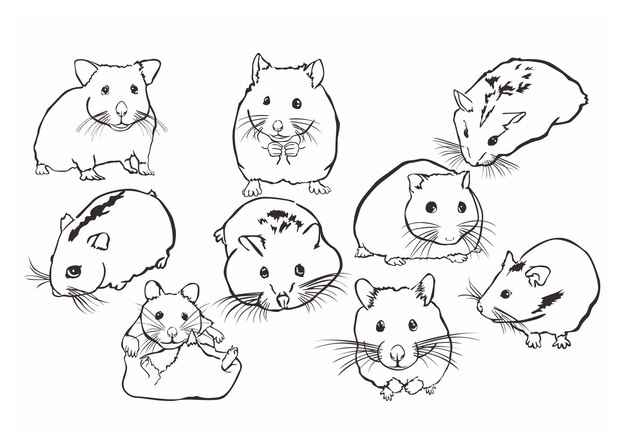 Vector cute hamster animal in line art style vector