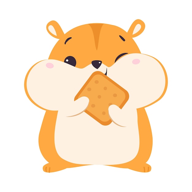 Cute Hamster Eating Cookie Adorable Funny Pet Animal Character Cartoon Vector Illustration