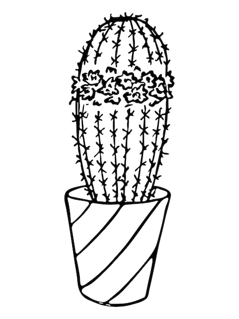 Cute hand drawn cactus illustration Houseplant in a pot clipart Cozy home doodle