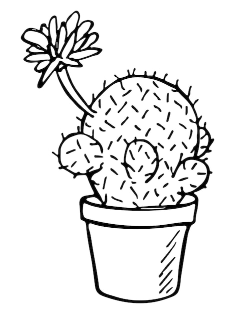 Cute hand drawn cactus illustration Houseplant in a pot clipart Cozy home doodle