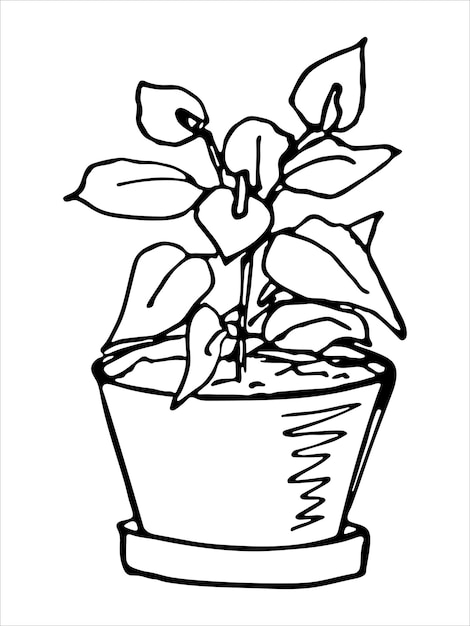 Cute hand drawn houseplant in a pot clipart Plant illustration Cozy home doodle