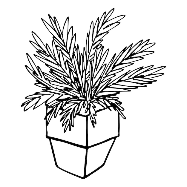 Cute hand drawn houseplant in a pot clipart Plant illustration Cozy home doodle