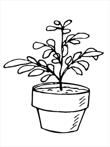 Cute hand drawn houseplant in a pot clipart Plant illustration Cozy home doodle