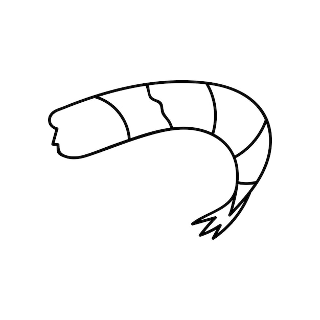 Cute hand drawn peeled shrimp doodle