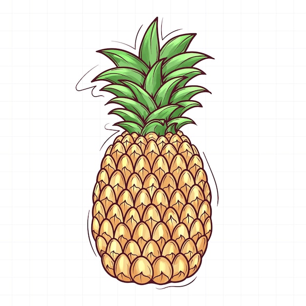 Cute hand drawn pineapple